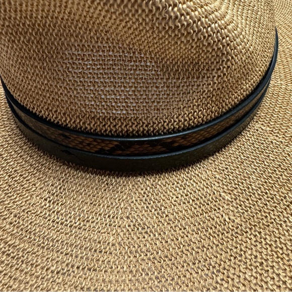 Express Hat - Picture 4 of 6